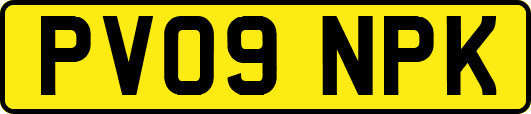 PV09NPK