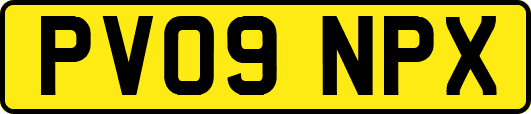 PV09NPX