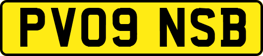 PV09NSB