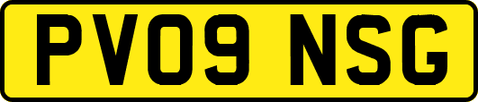 PV09NSG