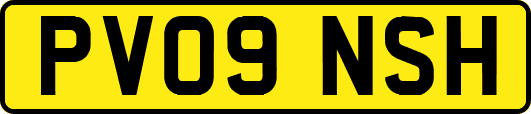 PV09NSH