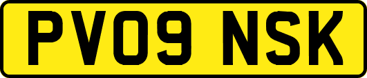 PV09NSK