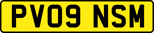 PV09NSM