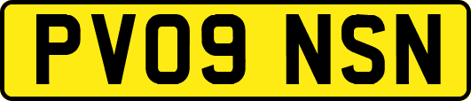 PV09NSN