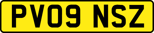 PV09NSZ