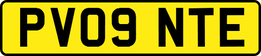 PV09NTE