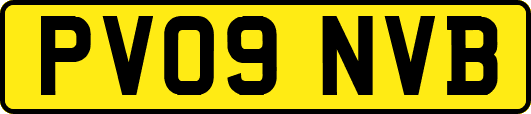 PV09NVB