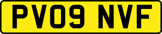 PV09NVF