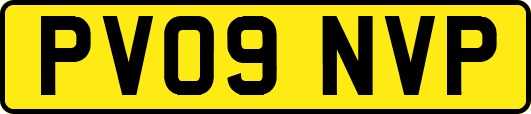 PV09NVP