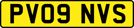 PV09NVS