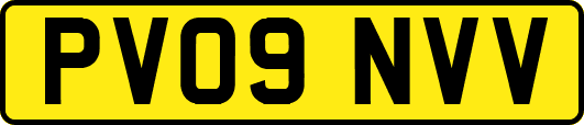 PV09NVV