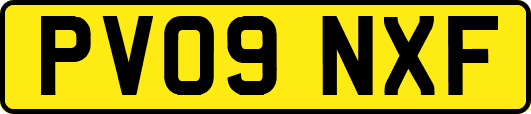 PV09NXF