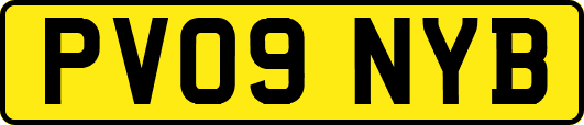 PV09NYB
