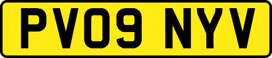 PV09NYV