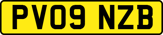 PV09NZB