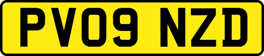PV09NZD