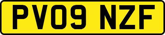 PV09NZF