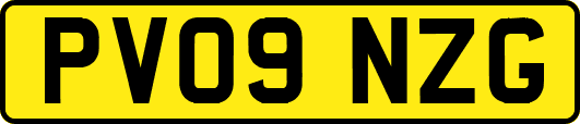 PV09NZG