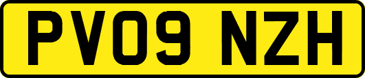 PV09NZH