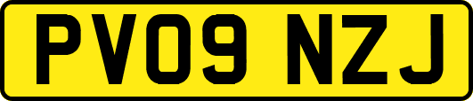 PV09NZJ