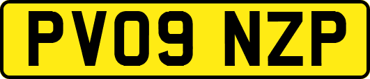 PV09NZP