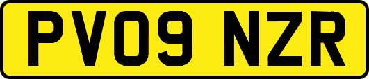 PV09NZR