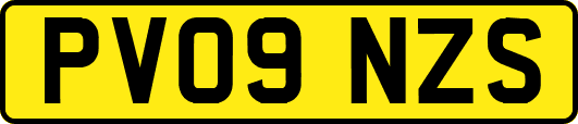 PV09NZS