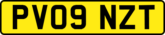 PV09NZT