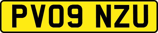 PV09NZU