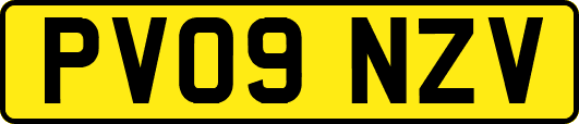 PV09NZV