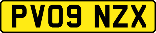 PV09NZX