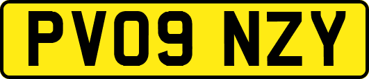 PV09NZY