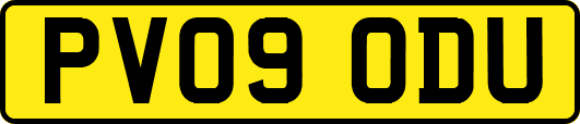 PV09ODU