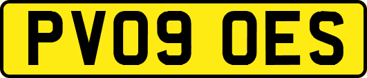 PV09OES