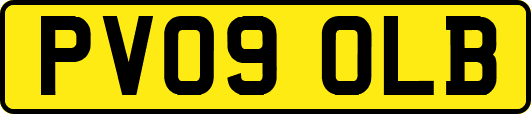 PV09OLB