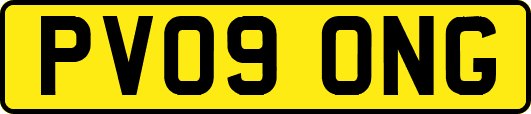 PV09ONG
