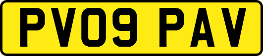 PV09PAV