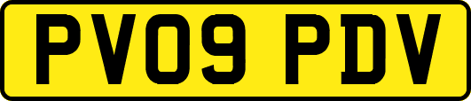 PV09PDV