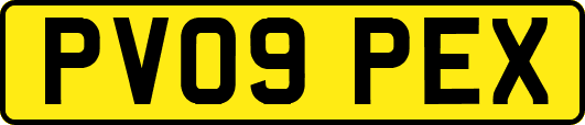 PV09PEX