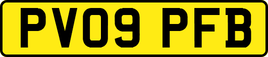 PV09PFB
