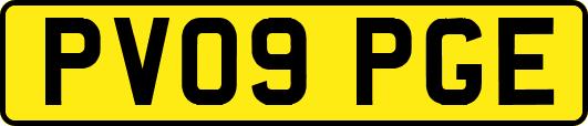 PV09PGE