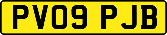 PV09PJB