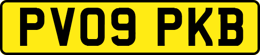 PV09PKB
