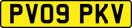 PV09PKV