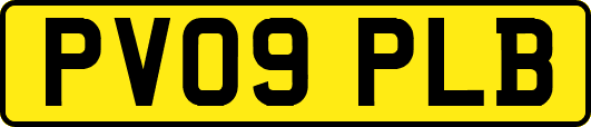 PV09PLB