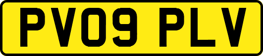 PV09PLV