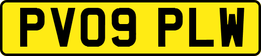 PV09PLW