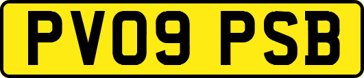 PV09PSB