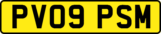 PV09PSM