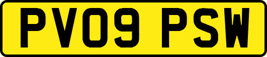 PV09PSW